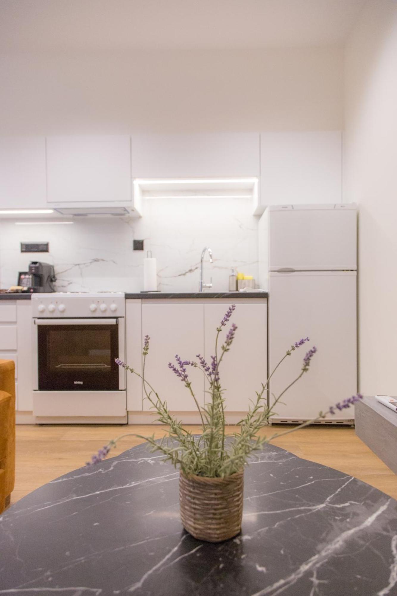Anasa Studio - Studio Apartment With Yard - Ioannina City Center Екстериор снимка